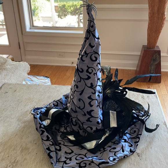 Spider Witch hat. Silver and blk. Large Halloween hat - Picture 6 of 7